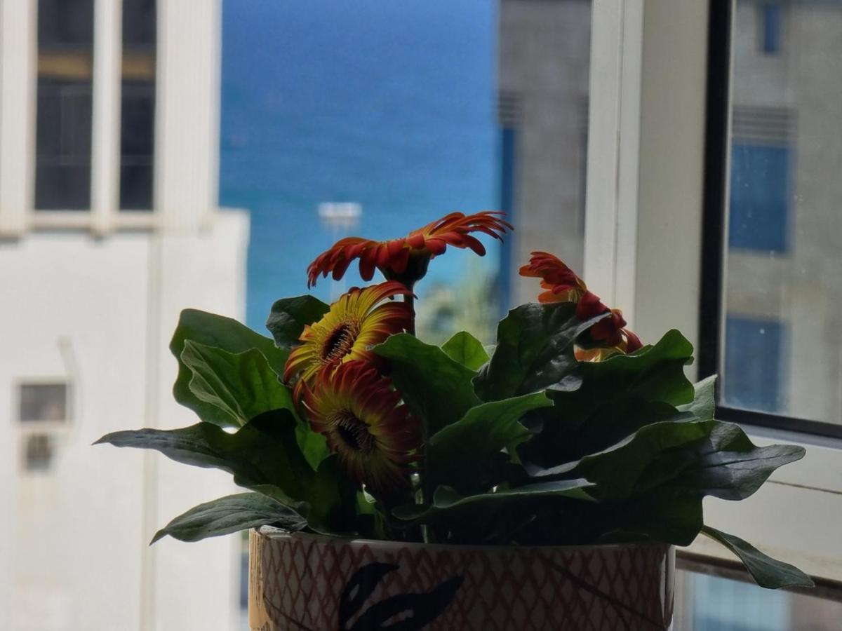 Delicate Serviced Apartment And Hotel Da Nang Bagian luar foto